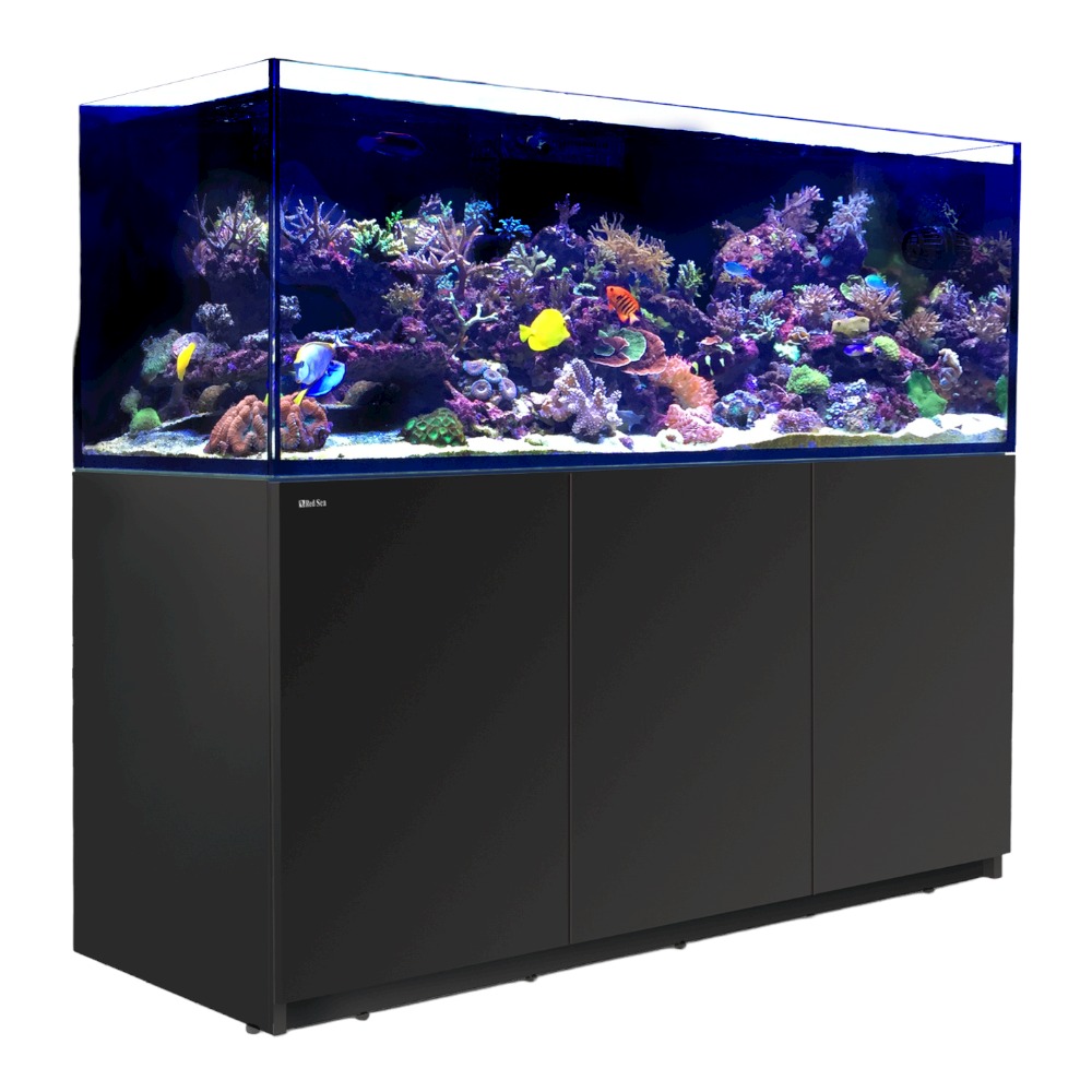 Red Sea Reefer